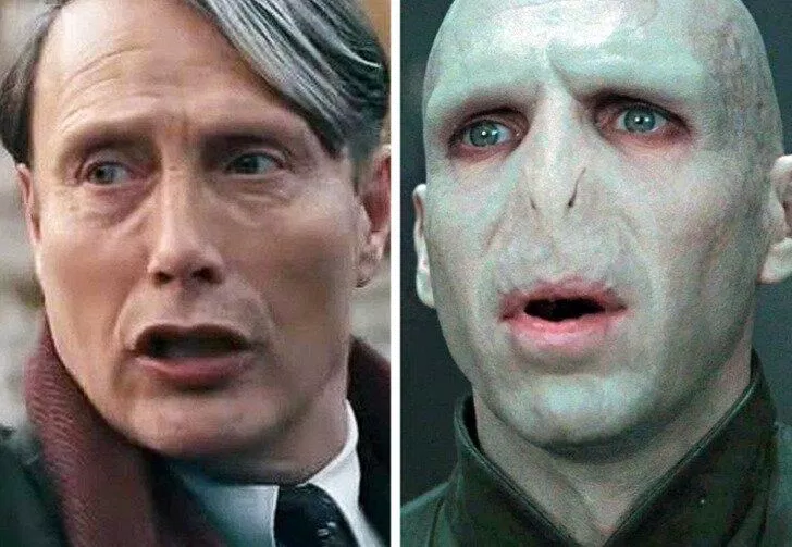 Grindelwald và Voldermort (Ảnh: Internet)