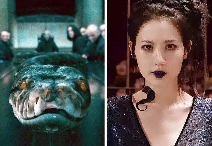 Cô gái xinh đẹp Nagini (Ảnh: Internet)