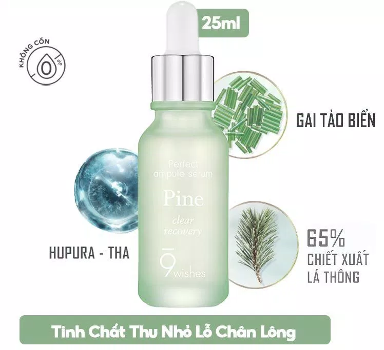 Thành phần chính của 9wishes Pine Perfect Ampule Serum (Nguồn: Internet)