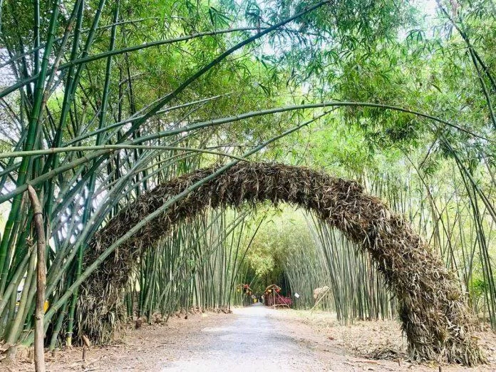 Bamboo Garden Hậu Giang (Ảnh: Bamboo Garden) Bamboo Garden Hậu Giang (Ảnh: Bamboo Garden)