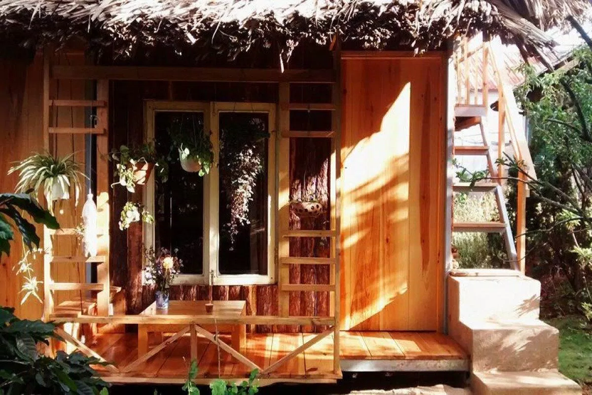 Củi homestay Đà Lạt (Nguồn: Internet).