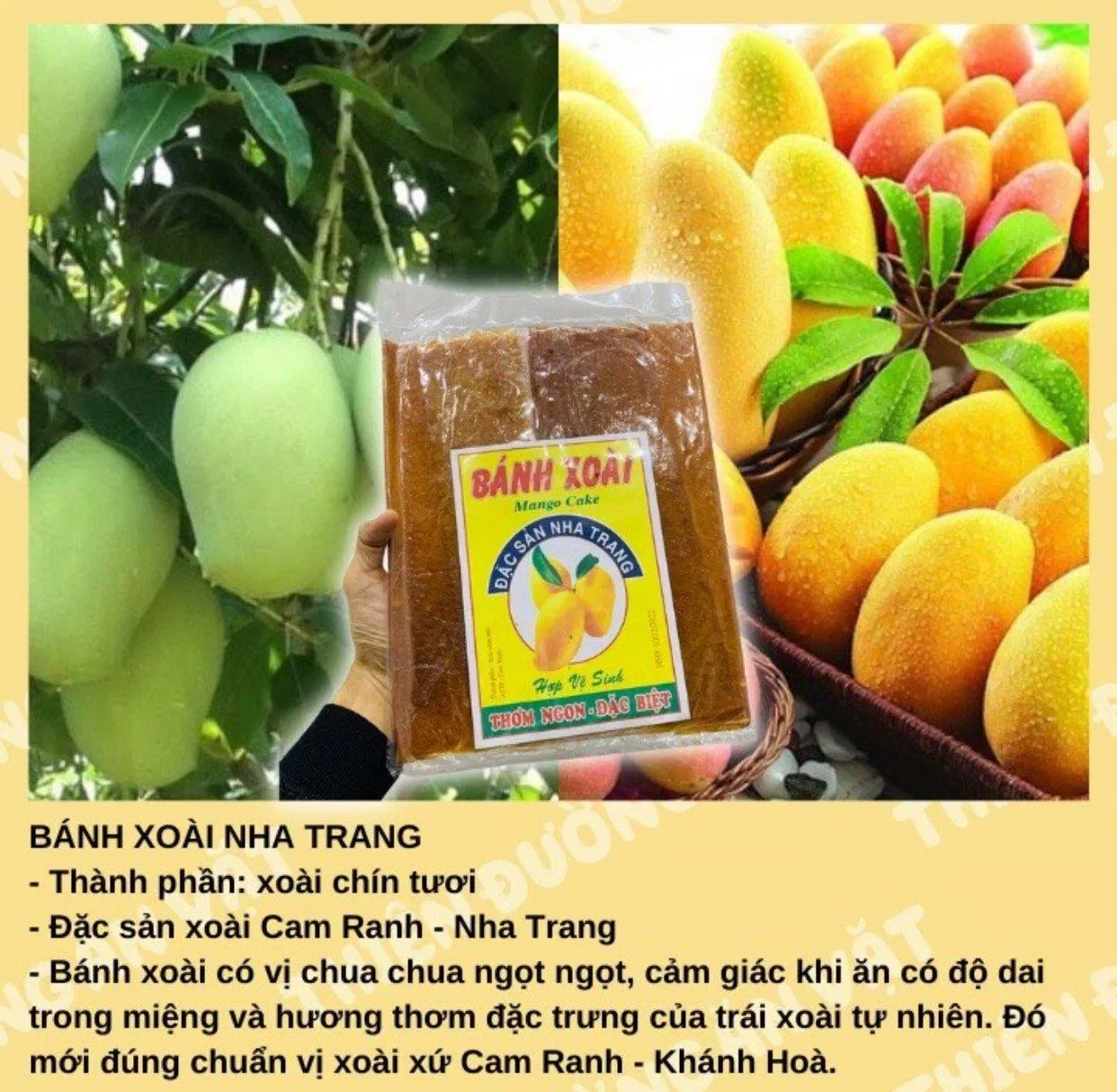 Đặc sản Nha Trang bánh tráng xoài. (Ảnh: Internet)