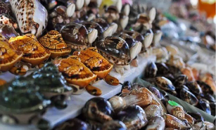Đồ thủ công mỹ nghệ từ vỏ ốc, vỏ sò được bày bán ở nhiều nơi - Ảnh: Internet