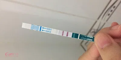 Que thử thai có thể phát hiện có thai từ rất sớm nhưng không phải là cách duy nhất (Nguồn: Internet) Que thử thai có thể phát hiện có thai từ rất sớm (Nguồn: Internet)