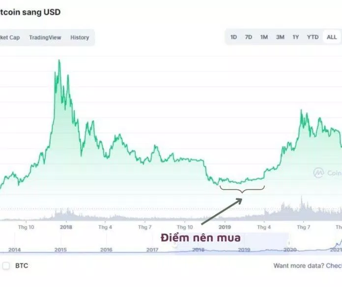 Điểm mua (Nguồn ảnh: Internet) Điểm mua (Nguồn ảnh: Internet)