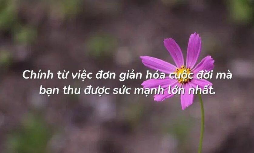 Đơn giản hóa cuộc sống là sức mạnh của việc quản lý thời gian (Ảnh: Internet)