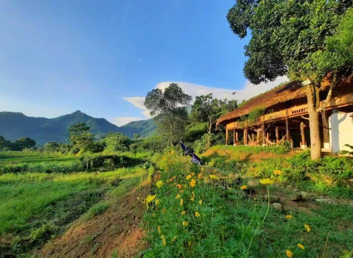 Không gian xanh mát của homestay. (Ảnh: Internet)