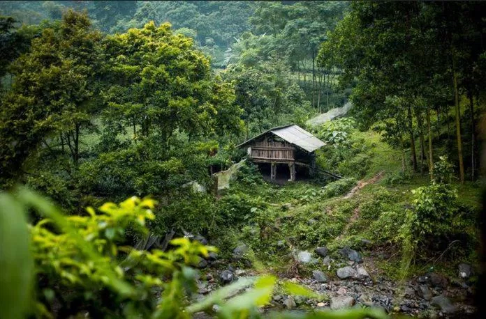 Kinh nghiệm du lịch Thái Nguyên tự túc từ A đến Z, ăn gì ? chơi gì? ở đâu? ẩm thực Ăn gì ở Thái Nguyên bánh chưng bảo tàng Bảo tàng Văn hóa các Dân tộc Việt Nam Cảnh sắc và ẩm thực Thái Nguyên Chè Hảo Đạt Tân Cương Chùa Hang công nghệ dân tộc Du lịch du lịch sinh thái du lịch thái nguyên du lịch Thái Nguyên tự túc Đặc sản Thái Nguyên đồ dùng Giấy tờ Hồ Núi Cốc hoàng gia khách sạn Khu bảo tồn Làng nhà sàn Dân tộc Sinh thái Thái Hải khu du lịch kinh nghiệm kinh nghiệm du lịch kinh nghiệm du lịch thái nguyên miền Trung Mua gì về làm quà khi du lịch Thái Nguyên nhà hàng Ở đâu tại Thái Nguyên phương tiện di chuyển đến Thái Nguyên quán ngon quán ngon tại Thái Nguyên Suối Cửa Tử Thái Nguyên Thái Nguyên có gì vui chơi thiết bị thiết bị công nghệ Thời điểm thích hợp du lịch Thái Nguyên thông tin trang phục văn hóa Vị trí Việt Nam vui chơi xe máy