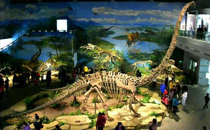 Một góc của bảo tàng (Nguồn: Internet) Một góc của bảo tàng (Nguồn: Internet)