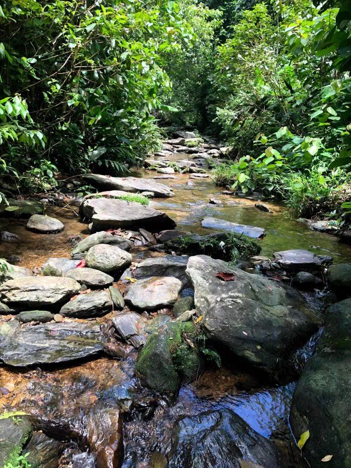 Bạn phải đi bộ lội suối khoảng 1km để đến thác Mưa (Ảnh: Việt Đăng Di).