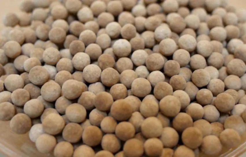 Hạt trân châu vừa ăn (Ảnh: Internet)