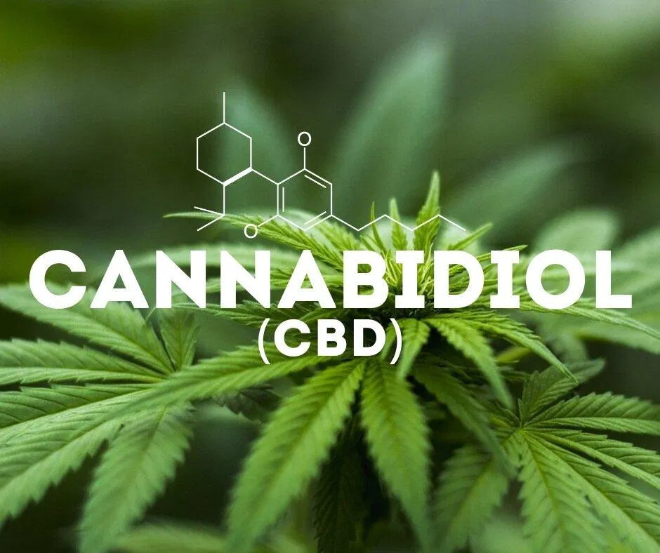 CBD là một chất còn khá mới đang được nghiên cứu để ứng dụng (Ảnh: Internet)
