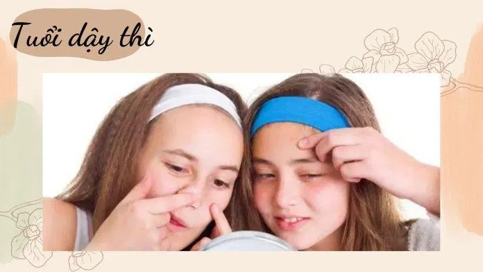 Nguyên nhân dẫn đến tình trạng da dầu mụn - Tuổi dậy thì (Nguồn: Internet)