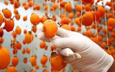 Đặc sản hồng treo gió Đà Lạt (Ảnh Internet)