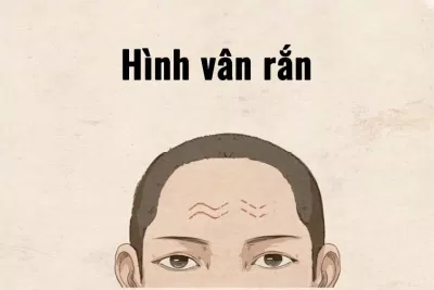 Nhân tướng học: Đường nhăn trán hình nếp gấp (Ảnh: Internet)