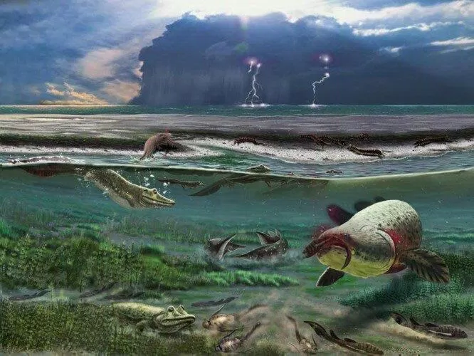 Sự phát triển của sinh vật dưới nước trong kỷ Devon (Nguồn: Internet)