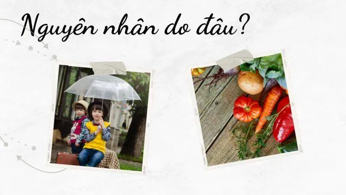 Nguyên nhân gây nên tình trạng da hỗn hợp thiên dầu - Do thời tiết và chế độ ăn uống (Nguồn: Internet)