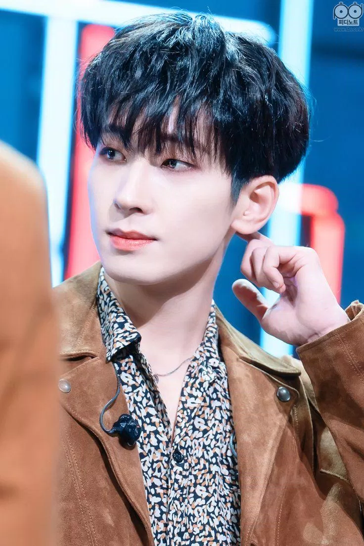 Wonwoo trong nóng ngoài lanh (Ảnh: Internet)