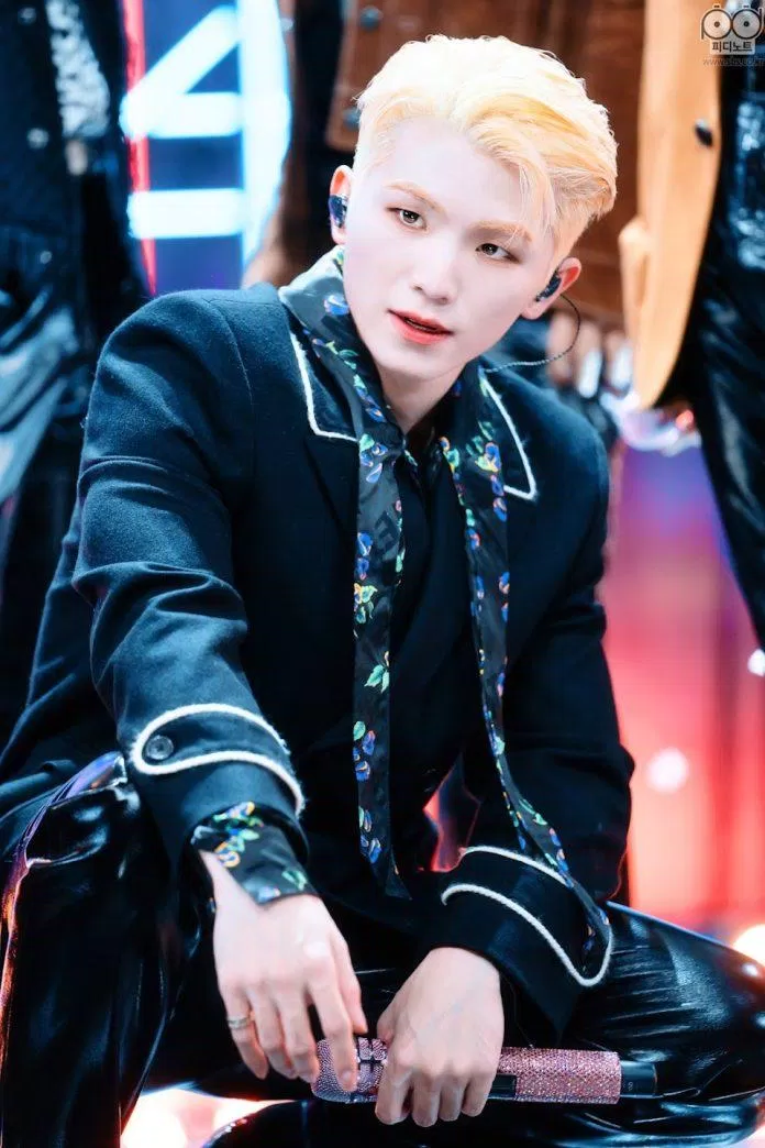 Idol hạt tiêu Woozi (Ảnh: Internet) Idol hạt tiêu Woozi (Ảnh: Internet)