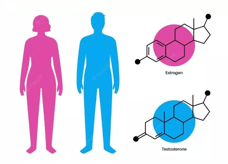 Cả nam và nữ đều bị ảnh hưởng do sự thay đổi hormone khi có tuổi (Ảnh: Internet)