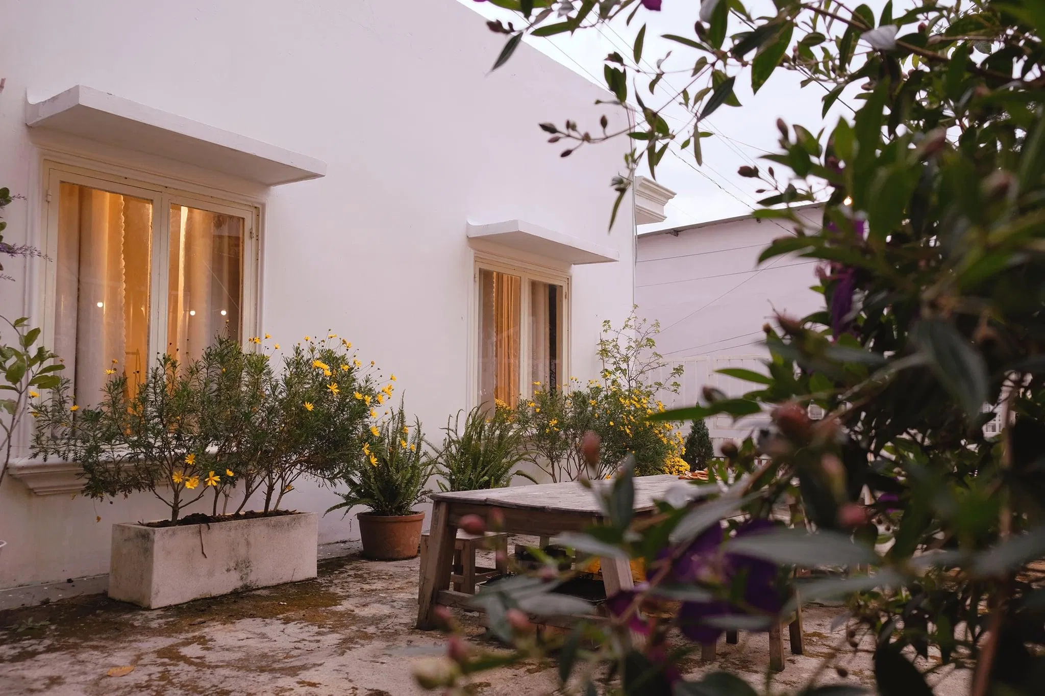 Không gian sân vườn xinh xắn của The Notebook homestay (Nguồn: fanpage The Notebook Homestay) Không gian sân vườn xinh xắn của The Notebook homestay (Nguồn: fanpage The Notebook Homestay)