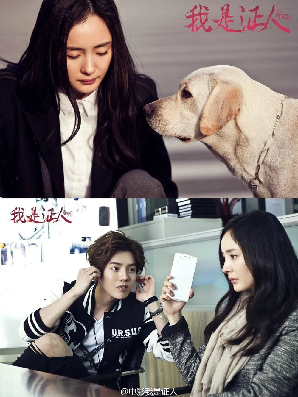 Tôi là nhân chứng (Ảnh: internet)