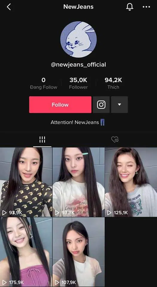 Nhấn follow Tiktok của HANII ngay thôi (Ảnh: Internet)