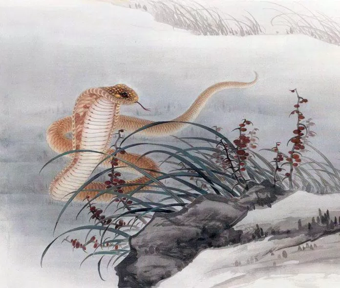 Dự đoán tử vi tuổi Tỵ 2023 . (Ảnh: Internet)