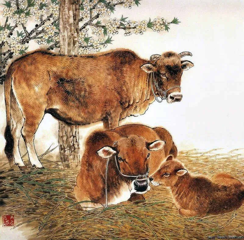 Dự đoán tử vi hôm nay 12 con giáp ngày 2/7/2022. (Ảnh: Internet)