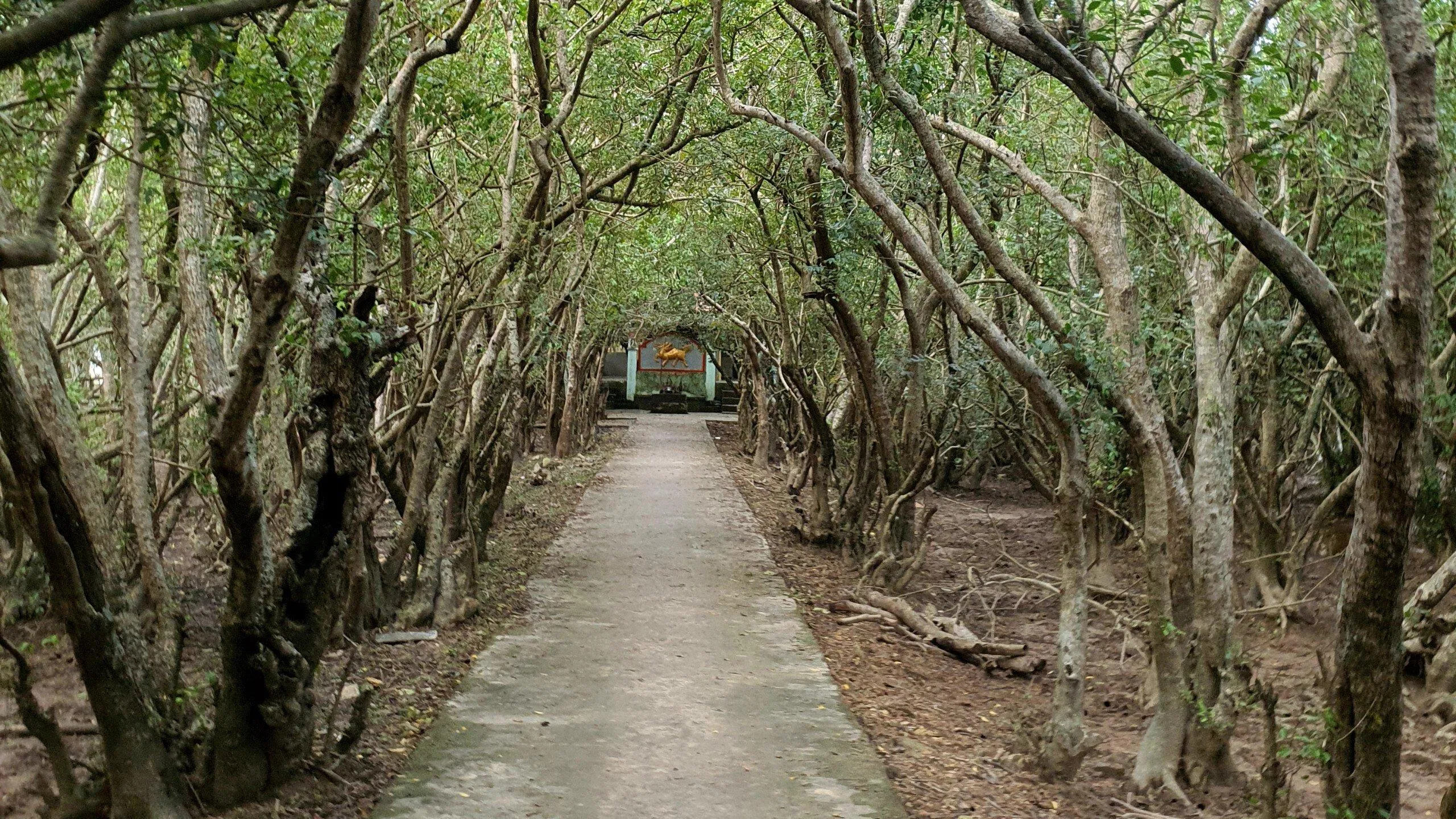 Miếu Bà giữa khu rừng (Ảnh: sooyaaa). Miếu Bà giữa khu rừng (Ảnh: sooyaaa).