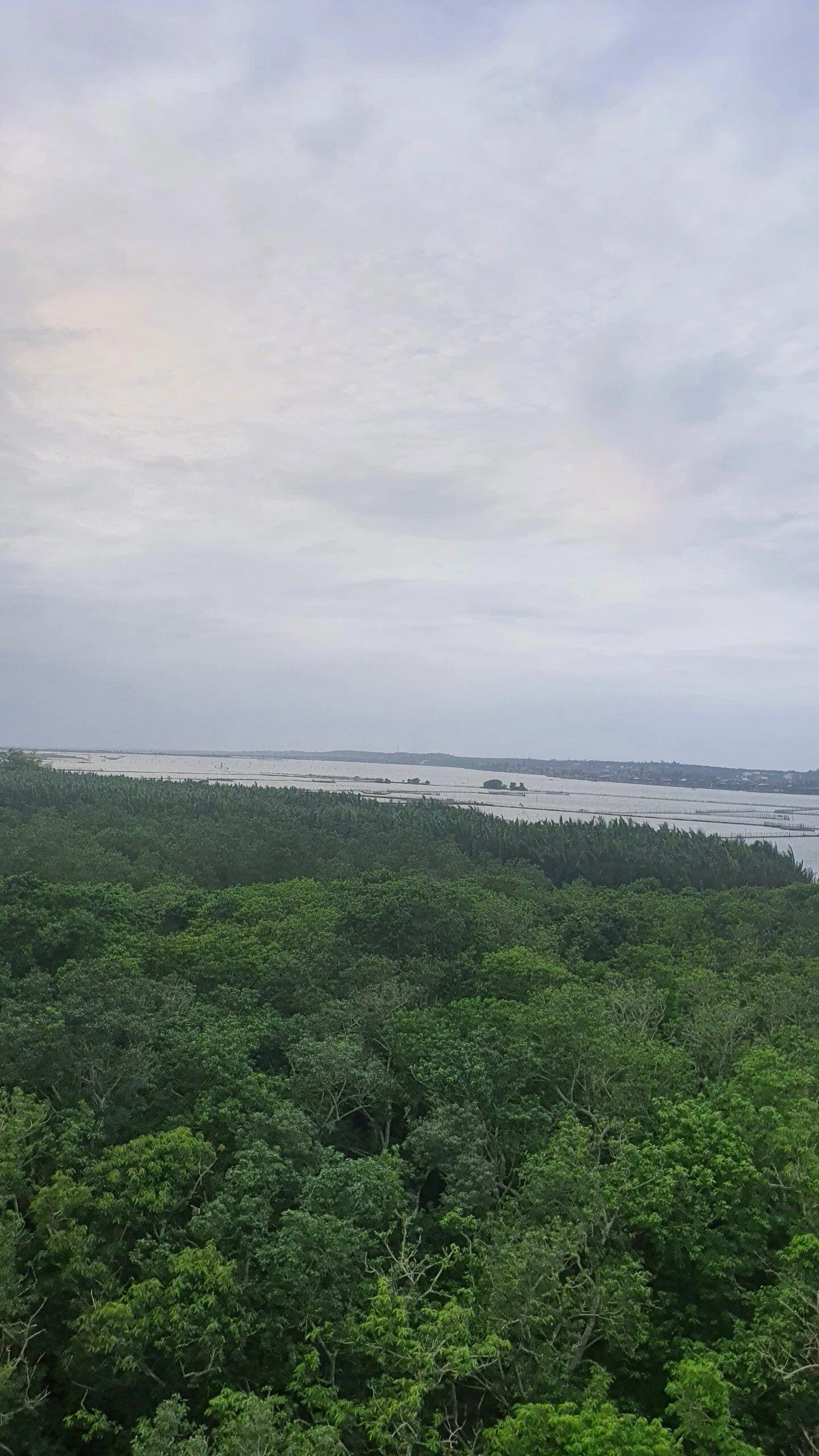 Khu rừng nhìn từ tháp canh (Ảnh: sooyaaa). Khu rừng nhìn từ tháp canh (Ảnh: sooyaaa).