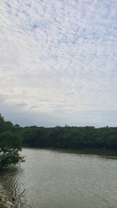 Rú Chá nhìn từ bên ngoài (Ảnh: sooyaaa). Rú Chá nhìn từ bên ngoài (Ảnh: sooyaaa).