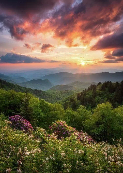 Khung cảnh công viên quốc gia Great Smoky Mountains đón ánh mặt trời. (Nguồn ảnh: Internet) Khung cảnh công viên quốc gia Great Smoky Mountains đón ánh mặt trời. (Nguồn ảnh: Internet)