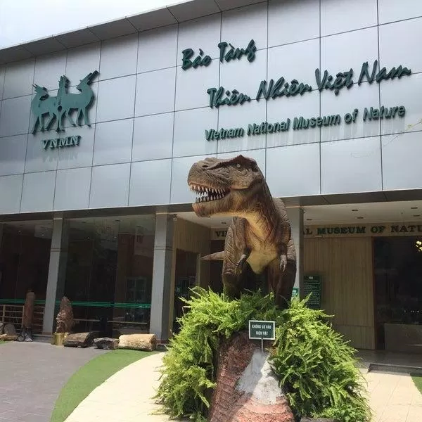 Вьетнамский музей природы (Источник: Интернет)
