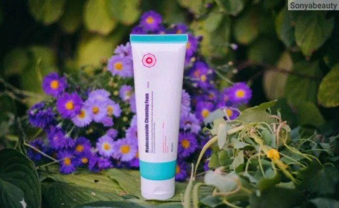 Review sữa rửa mặt APieu Madecassoside Cleansing Foam: Làm sạch da siêu dịu nhẹ Allantoin Arnica Montana Flower Extract Chiết xuất hoa cúc arnica beeswax Betaine Centella Asiatica Extract chiết xuất rau má chống oxy hóa dưỡng ẩm điều trị mụn Giảm thâm glycerin kháng viêm làm sạch da làm sáng da Madecassoside mỹ phẩm Hàn Quốc sữa rửa mặt Sữa rửa mặt A Pieu Madecassoside Cleansing Foam