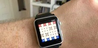 Đồng hồ Apple Watch tuy cực kỳ nhỏ gọn nhưng vẫn có thể chơi game được (Ảnh: Internet).