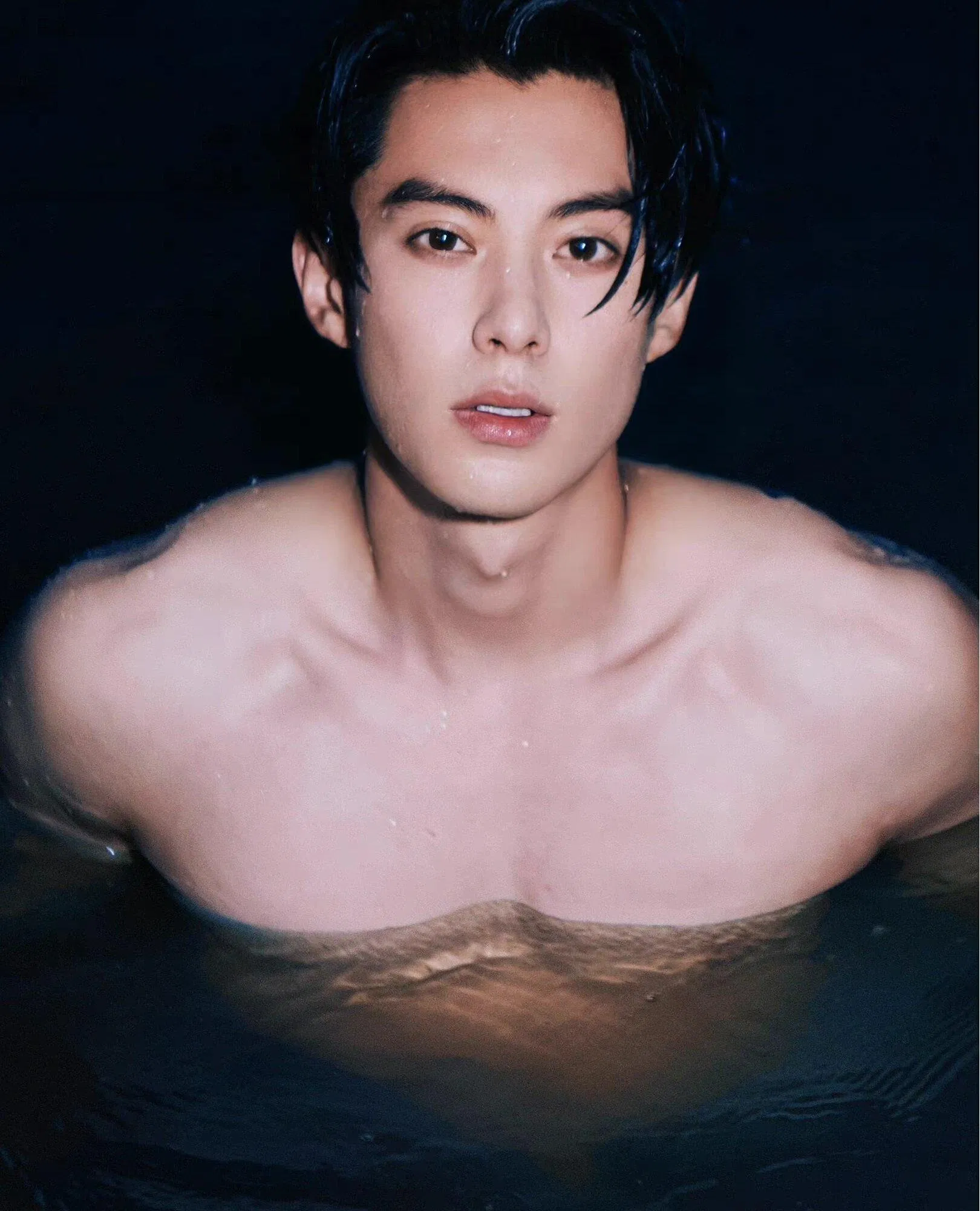 Vương Hạc Đệ. (Ảnh: Internet)