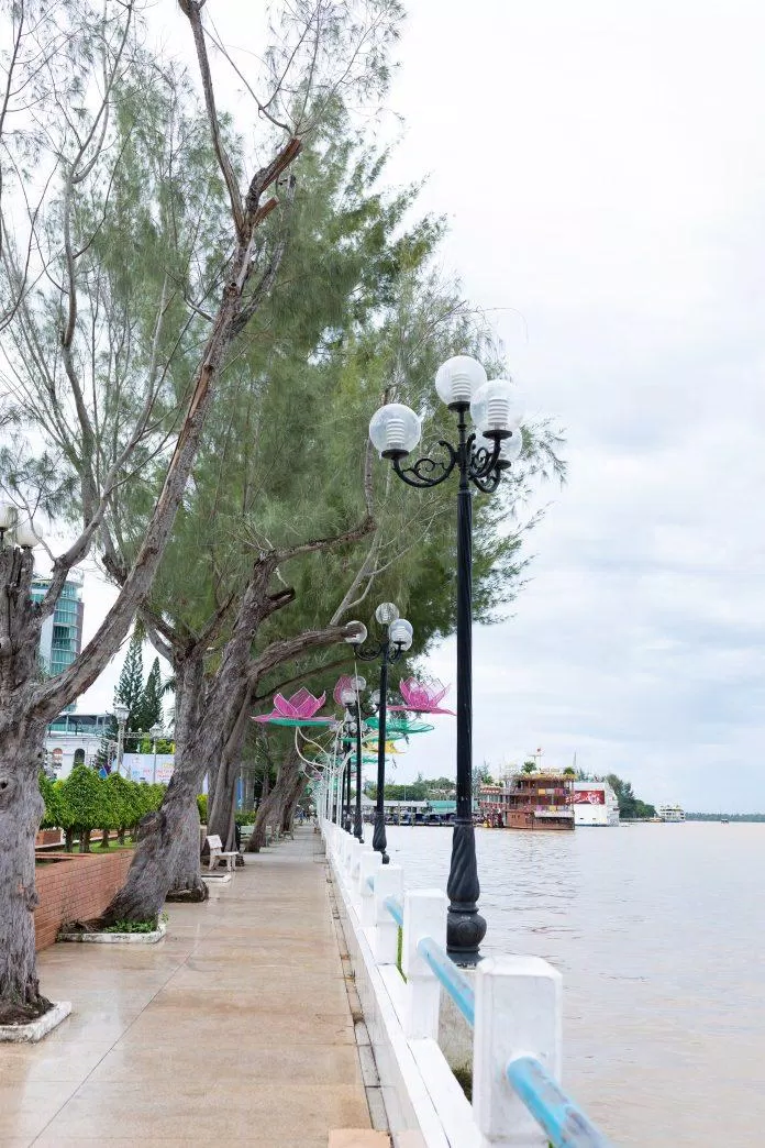 Hàng dương dọc Bến Ninh Kiều (Nguồn: BlogAnChoi)
