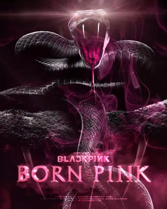 BLACKPINK comeback với PINK VENOM. (Ảnh: Internet)