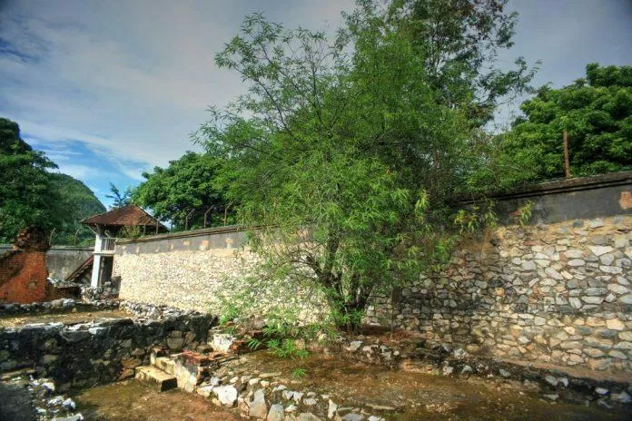 Cây đào Tô Hiệu trong khuôn viên nhà tù Sơn La (Nguồn: Internet)