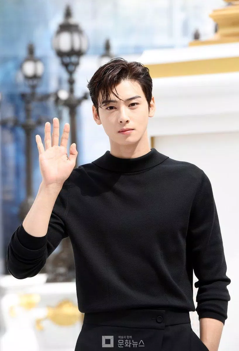 Tìm đâu ra người như Cha Eun Woo thứ 2 trên đời này (Ảnh: Internet)