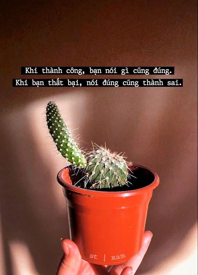 1000+ châm ngôn cuộc sống, danh ngôn nổi tiếng sẽ là kim chỉ nam cho cuộc đời bạn (Ảnh: BlogAnChoi)