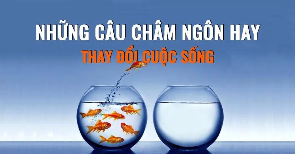 Châm ngôn cuộc sống ngắn gọn, bá đạo (Ảnh: Internet)