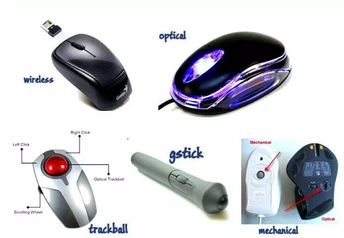 Loại chuột nào phù hợp với bạn? (Ảnh: Internet). Loại chuột nào phù hợp với bạn? (Ảnh: Internet).