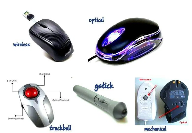 Loại chuột nào phù hợp với bạn? (Ảnh: Internet). Loại chuột nào phù hợp với bạn? (Ảnh: Internet).