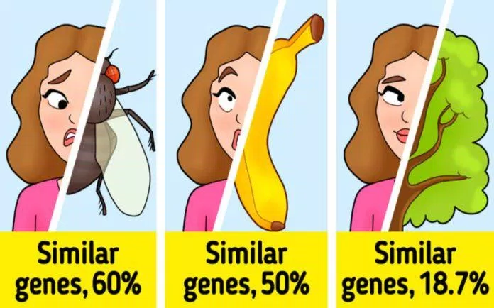 Cơ thể con người có rất nhiều điều thú vị (Ảnh: Internet)