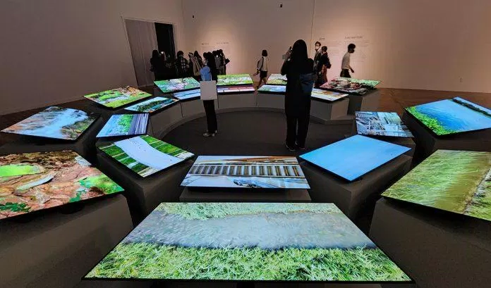 Một triển lãm tại Cung triển lãm lịch sử hiện đại Daejeon (Ảnh: Internet)