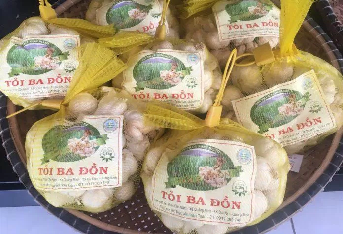 Đặc sản tỏi tía Ba Đồn. (Ảnh: Internet)