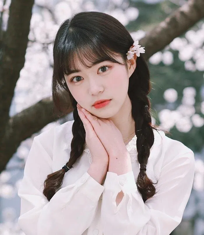 Kiểu tóc vô cùng dễ thương và được phái đẹp ưa chuộng(Nguồn: Internet)