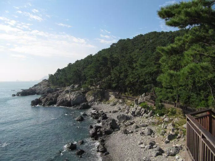 Đảo Dongbaek yên bình (Ảnh: Internet)